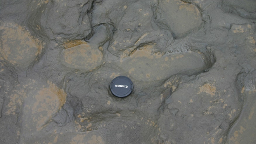 Britain Early Humans footprints.jpg